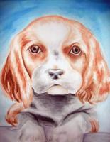 Animals - Puppy Love - Watercolor